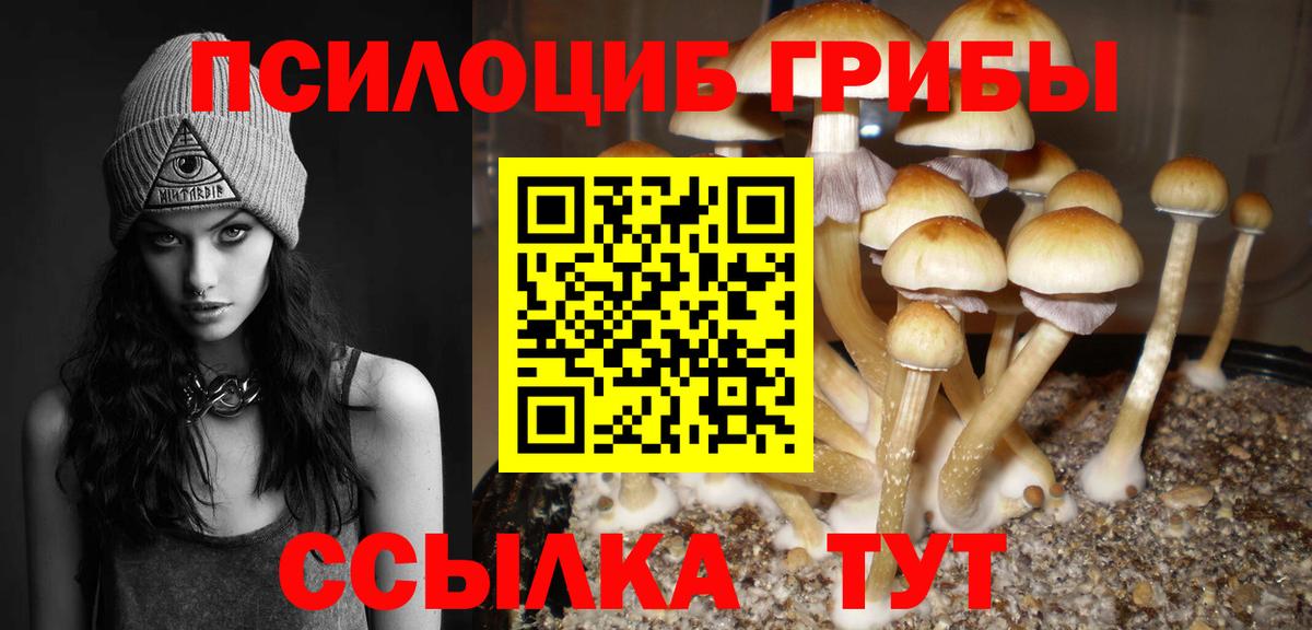 Уссурийск  Псилоцибиновые грибы ЛСД  Вход с VPN 