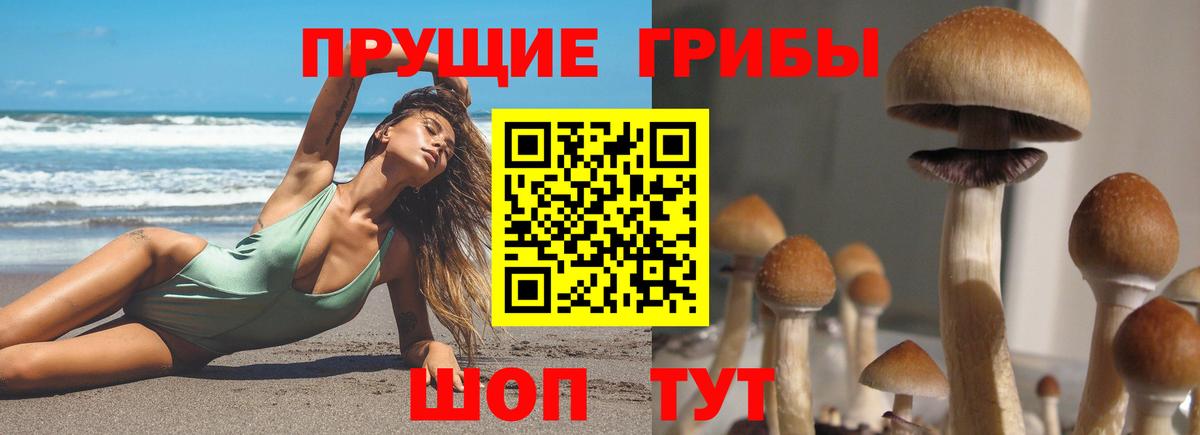 Псилоцибиновые грибы Magic Shrooms Уссурийск